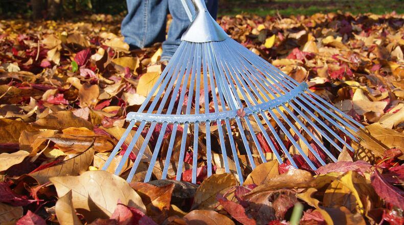 Left-behind leaves will potentially corrode a lawn post snowfall. (Dreamstime)