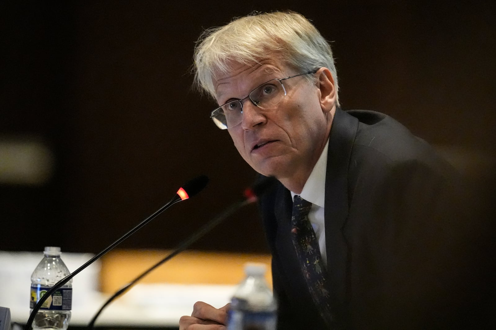 Dr. Martin Kulldorf speaks during a meeting of the Advisory Committee in Immunization Practices at the CDC, Wednesday, June 25, 2025, in Atlanta. (AP Photo/Mike Stewart)
