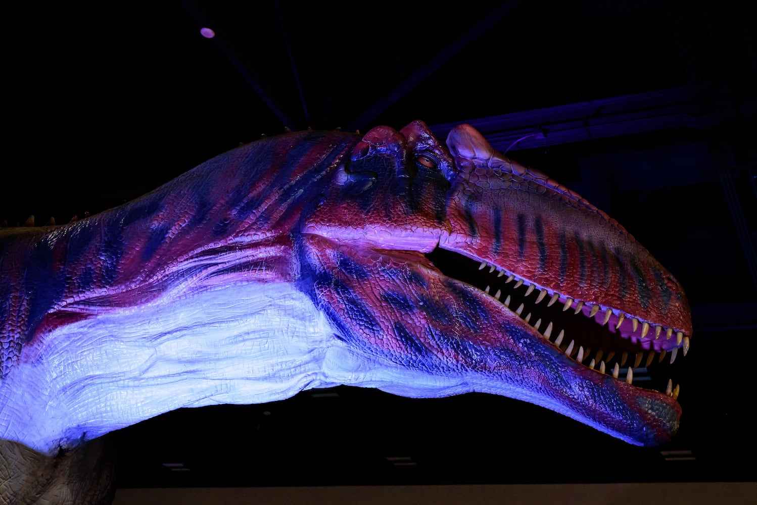 PHOTOS: Jurassic Quest 2026 at the Dayton Convention Center