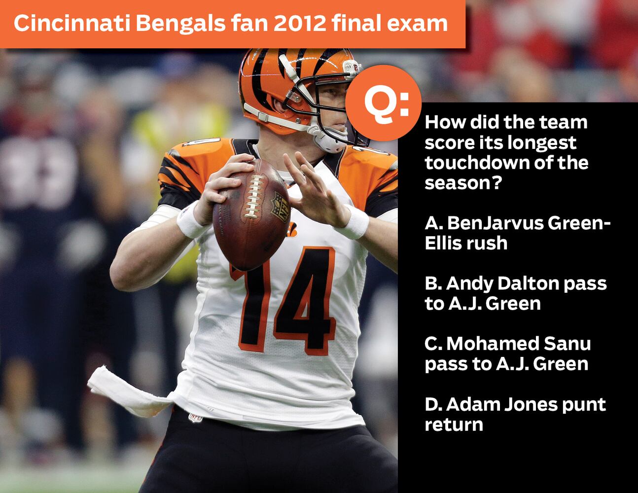 Cincinnati Bengals fan 2012 final exam: