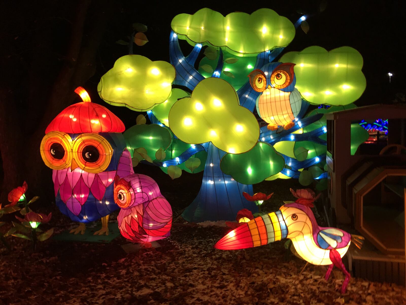 Ohio Chinese Lantern Festival is returning to the Expo Center with bigger and brighter lights this winter!