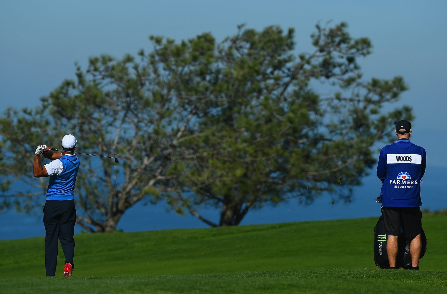 Tiger Woods