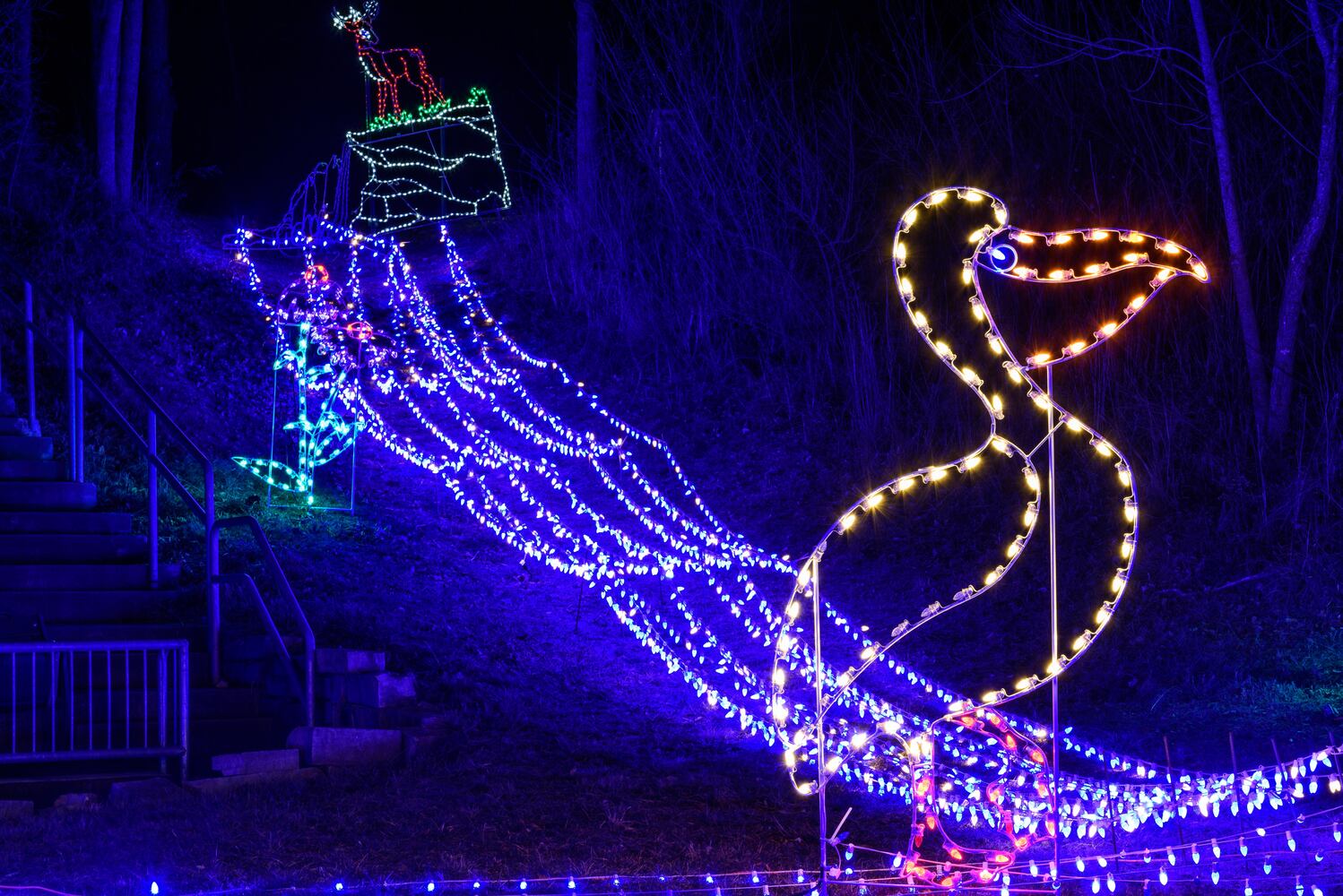 PHOTOS: ParkLights at Caesar Ford Park