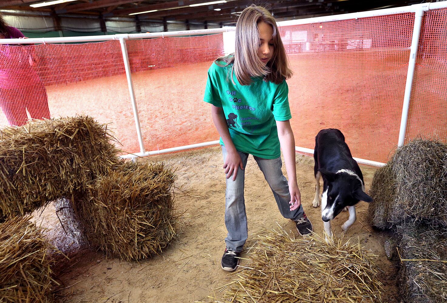 News hounds (7/16/15)