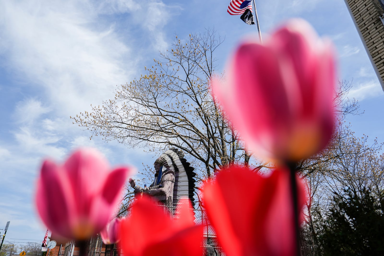 The Big Chief Lewis statue stands in Massapequa, N.Y., Friday, April 25, 2025. (AP Photo/Julia Demaree Nikhinson)