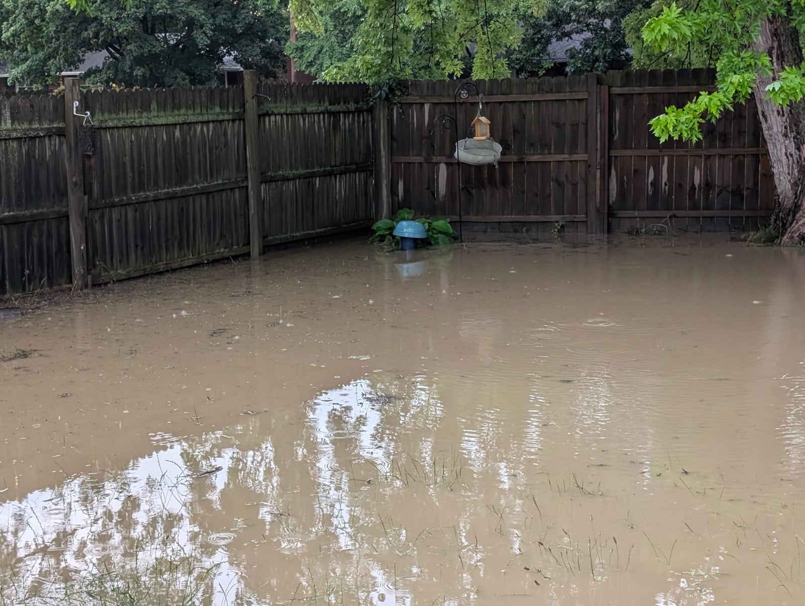 Flooding on Tulip Drive and E. Gibbons Road in West Carrollton Thursday, June 26, 2025. SHARYN BOYLE / STAFF