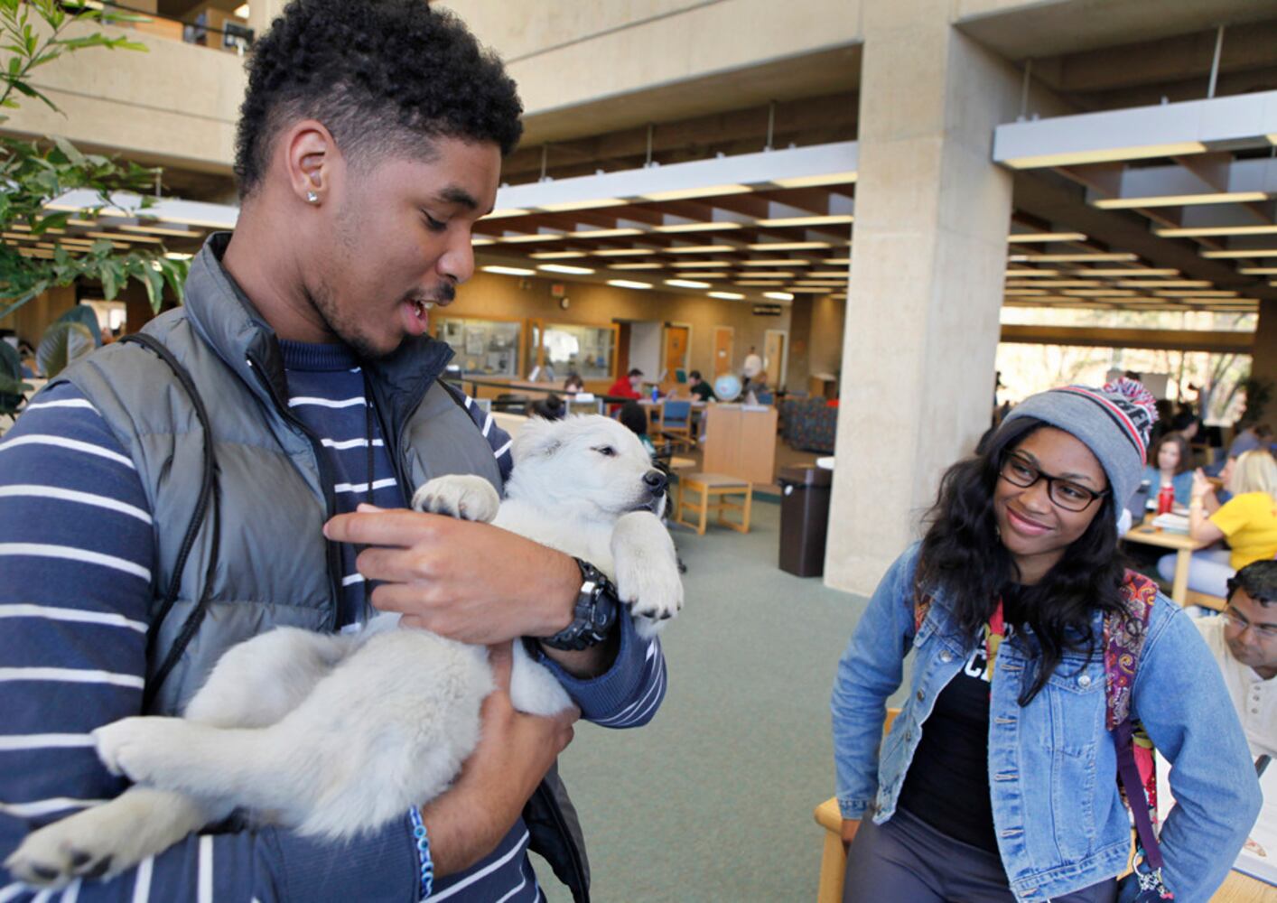 Puppy Therapy for WSU Students