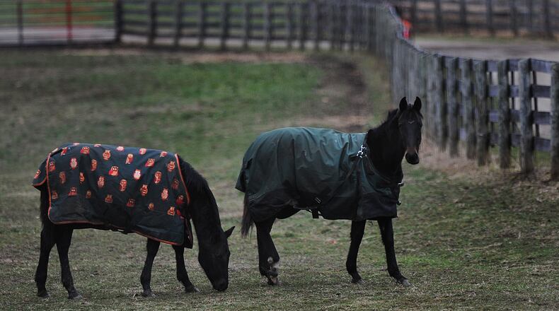 If you go outside this weekend to horse around and have fun make sure you wear a coat like these horses on state Route 4 near Fairborn. MARSHALL GORBY\STAFF