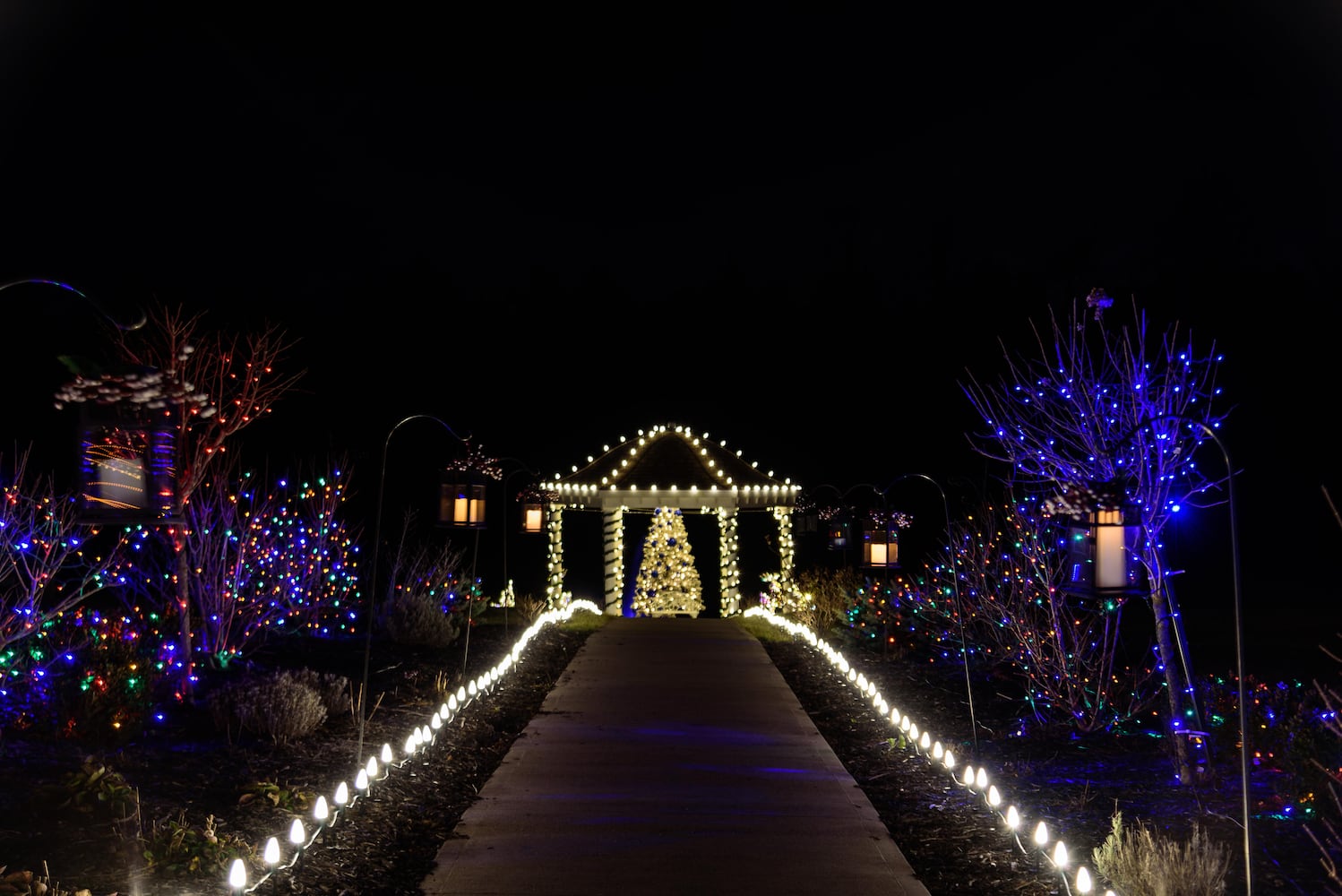 PHOTOS: Christmas Light Spectacular at Cedar Springs Pavilion