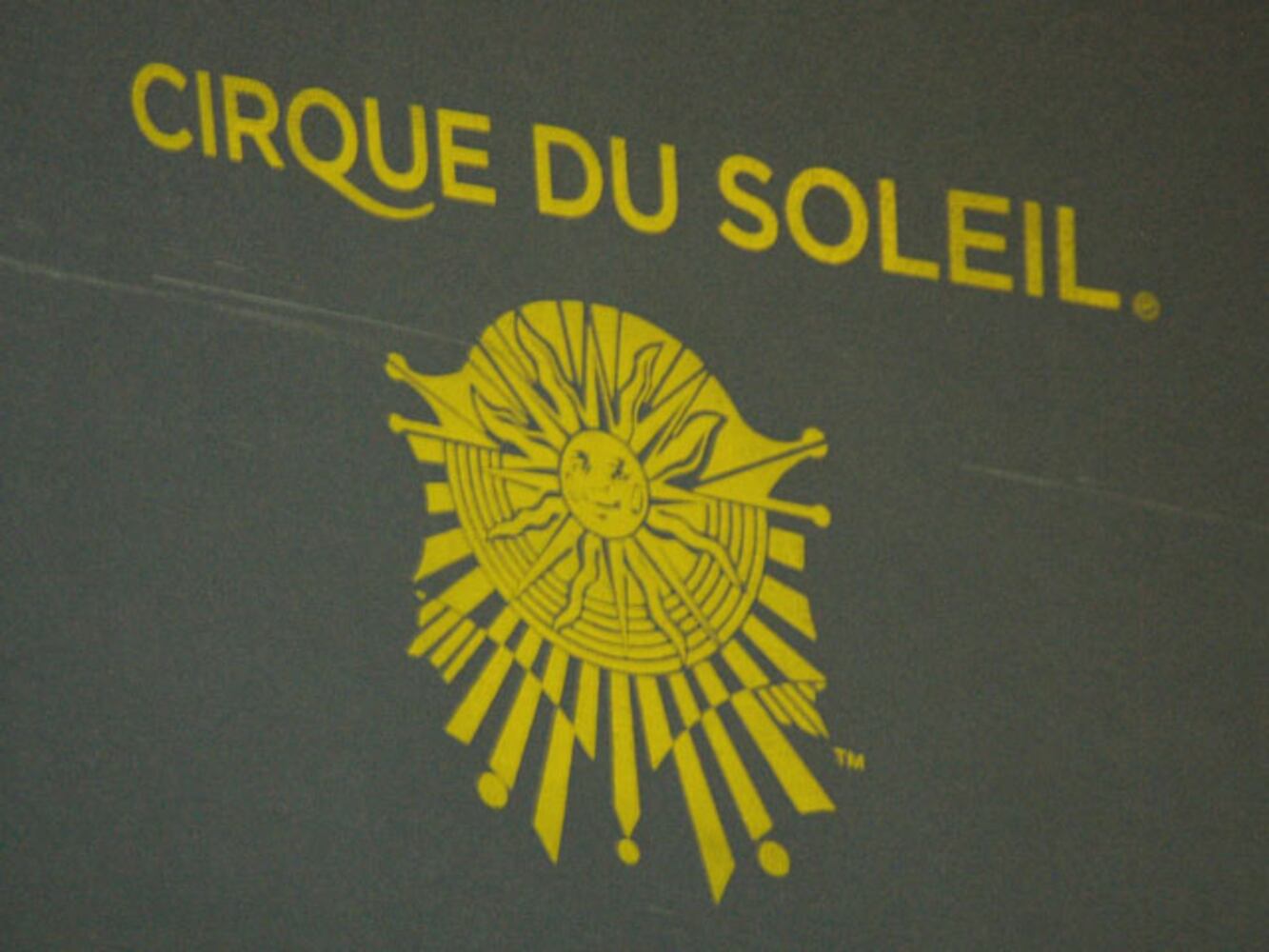 Cirque Michael Jackson