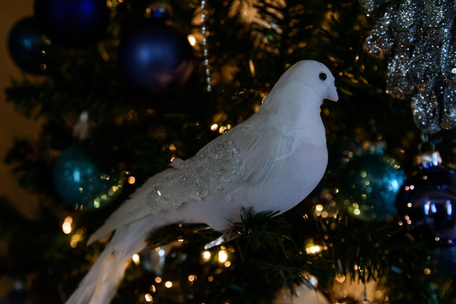 PHOTOS: A Dickens of a Christmas St. Anne’s Hill Holiday Home Tour