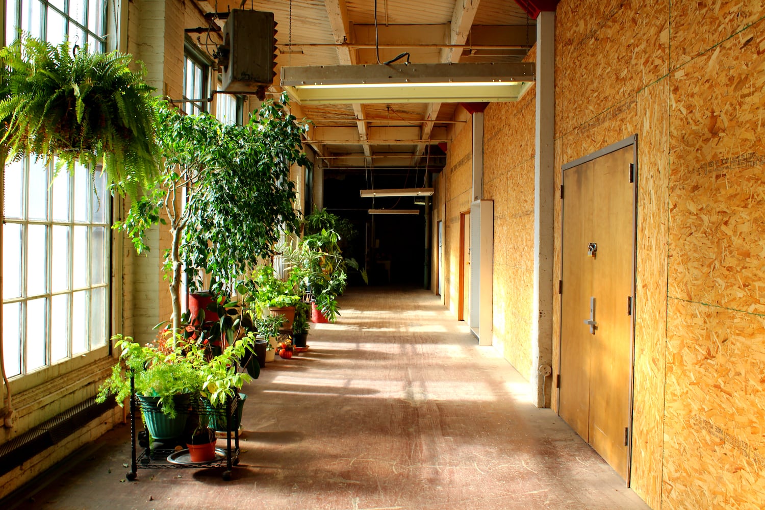The Davis-Linden Building renaissance
