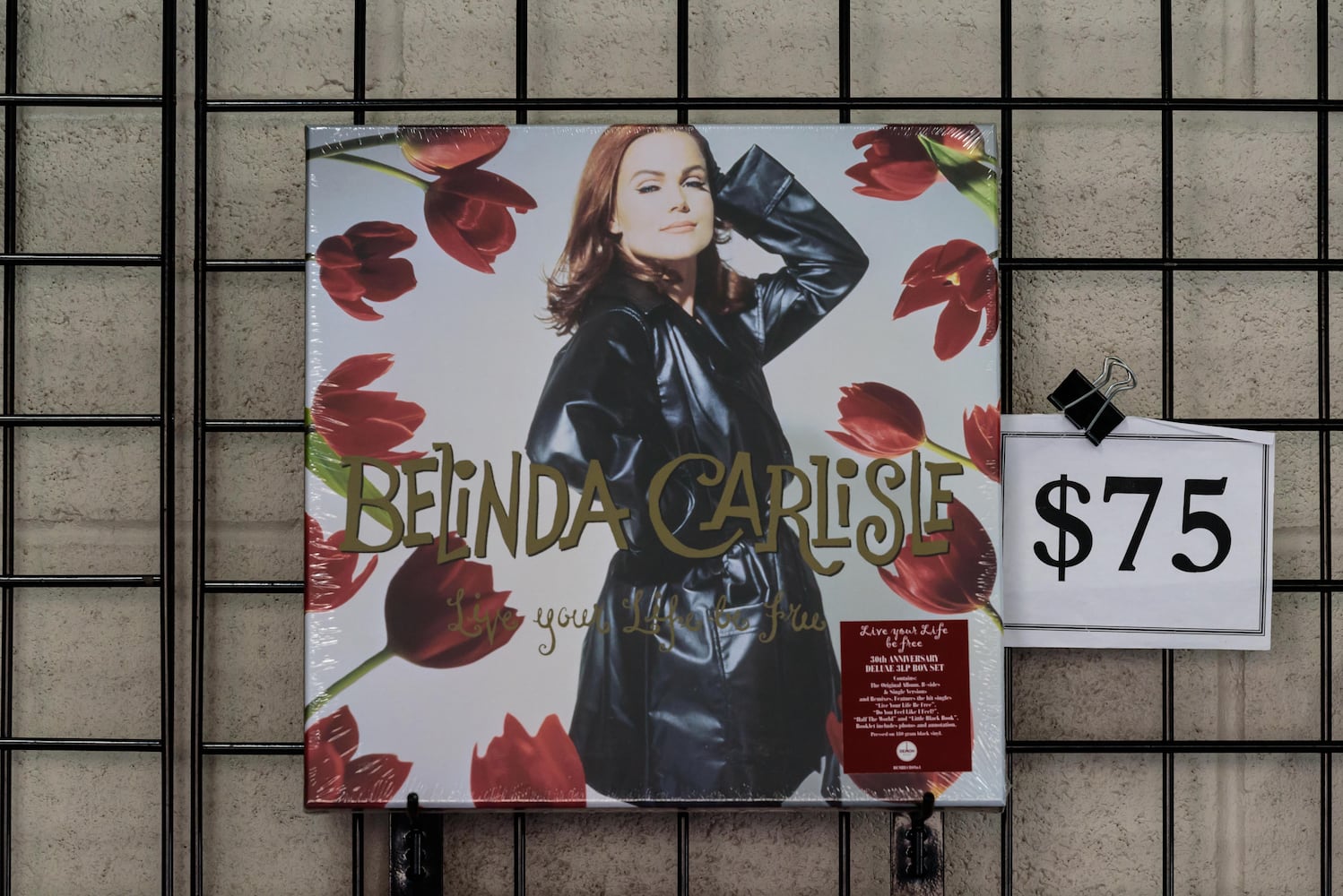 PHOTOS: Belinda Carlisle & M. Ross Perkins Live at Rose Music Center