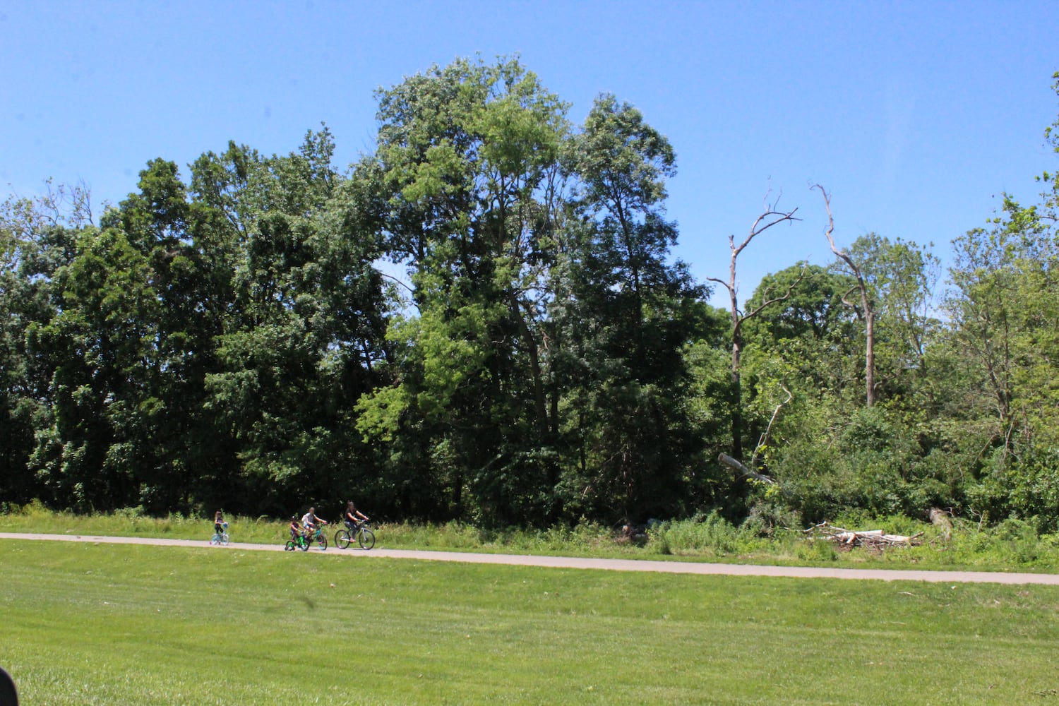 Photos: ‘extraordinary’ damage to parts of  Wegerzyn MetroPark, some parts mostly untouched