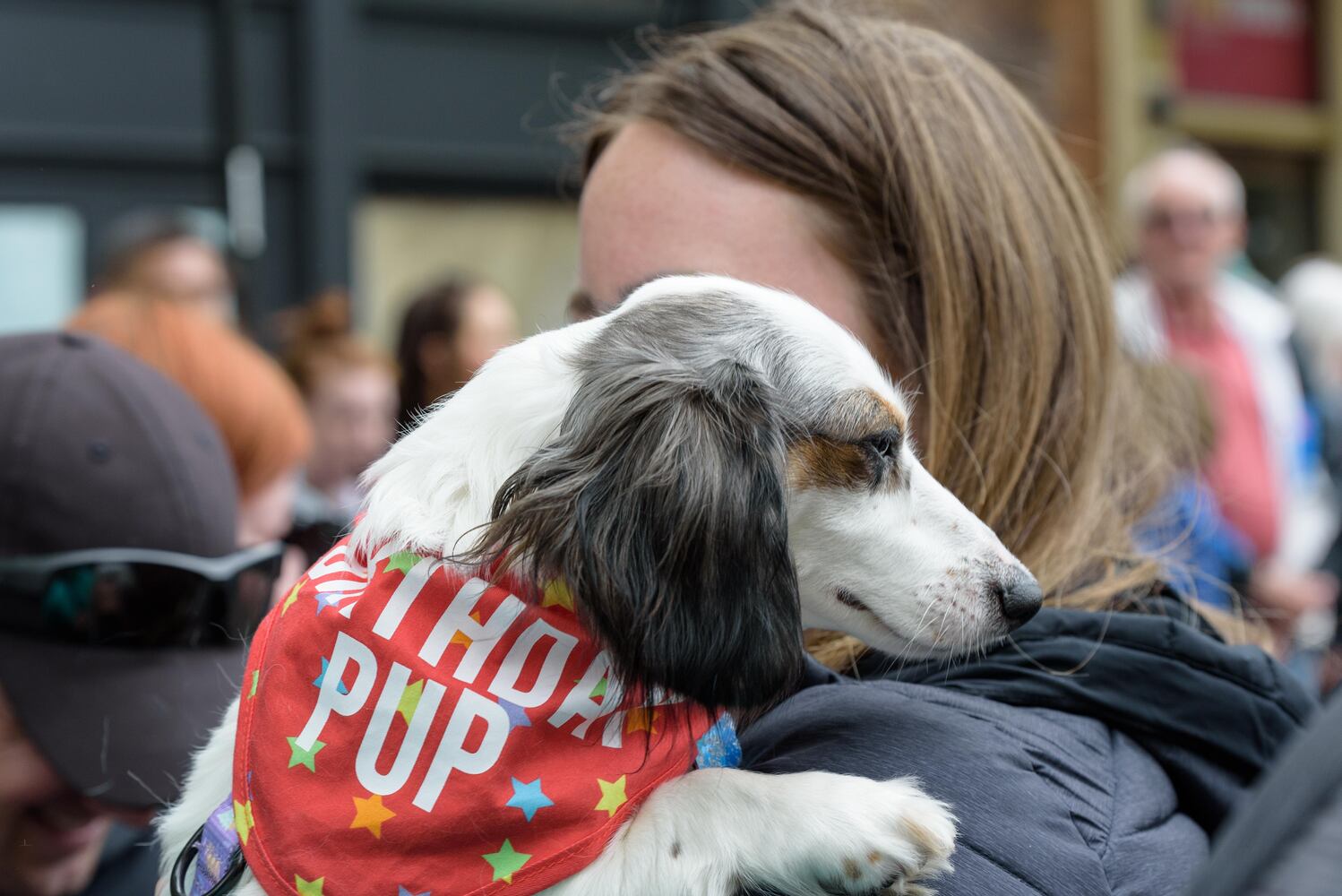 PHOTOS: Did we spot you at the Derby Day Wiener Dog Race in The Oregon District?