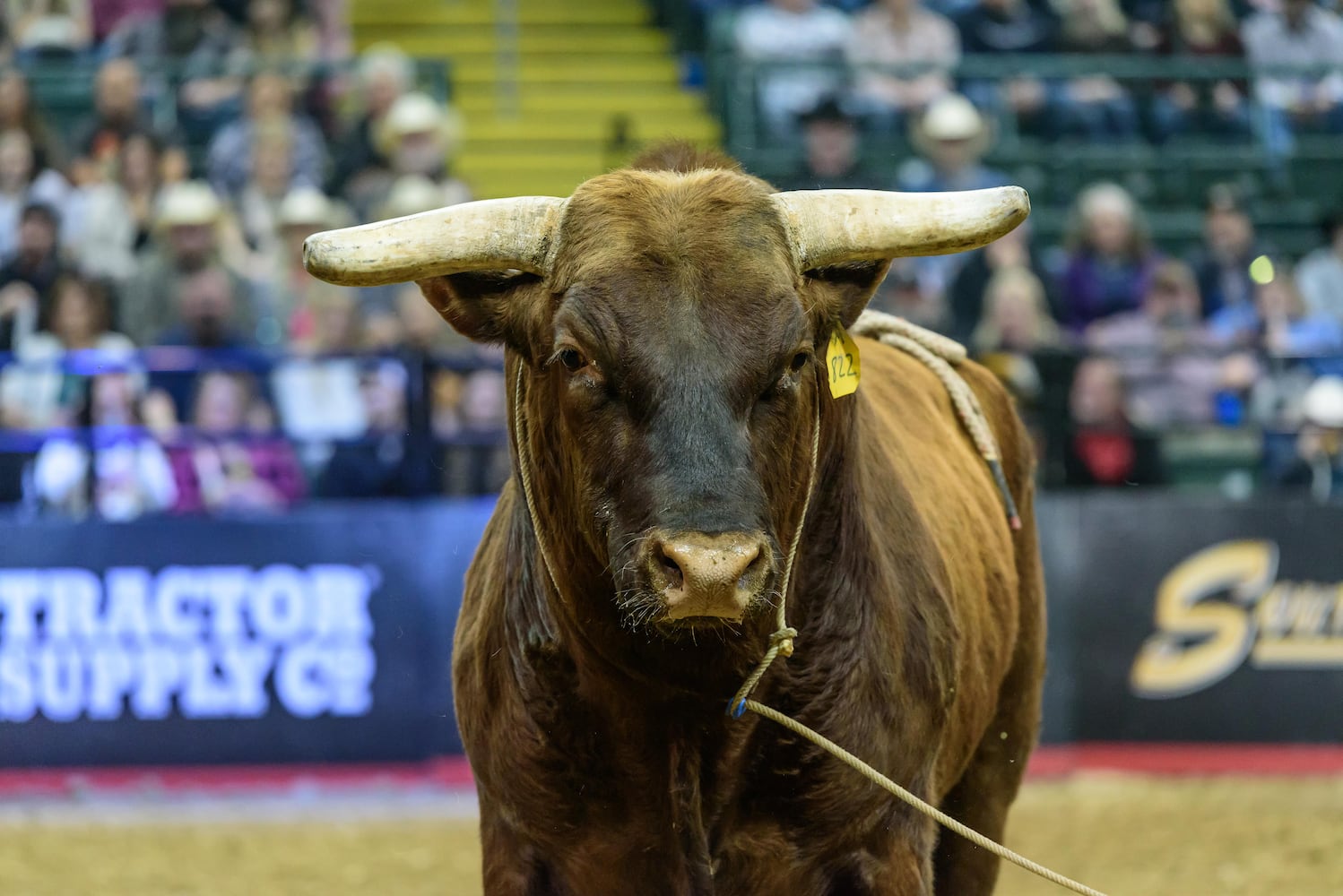 PHOTOS: PBR Pendleton Whisky Velocity Tour at the Nutter Center