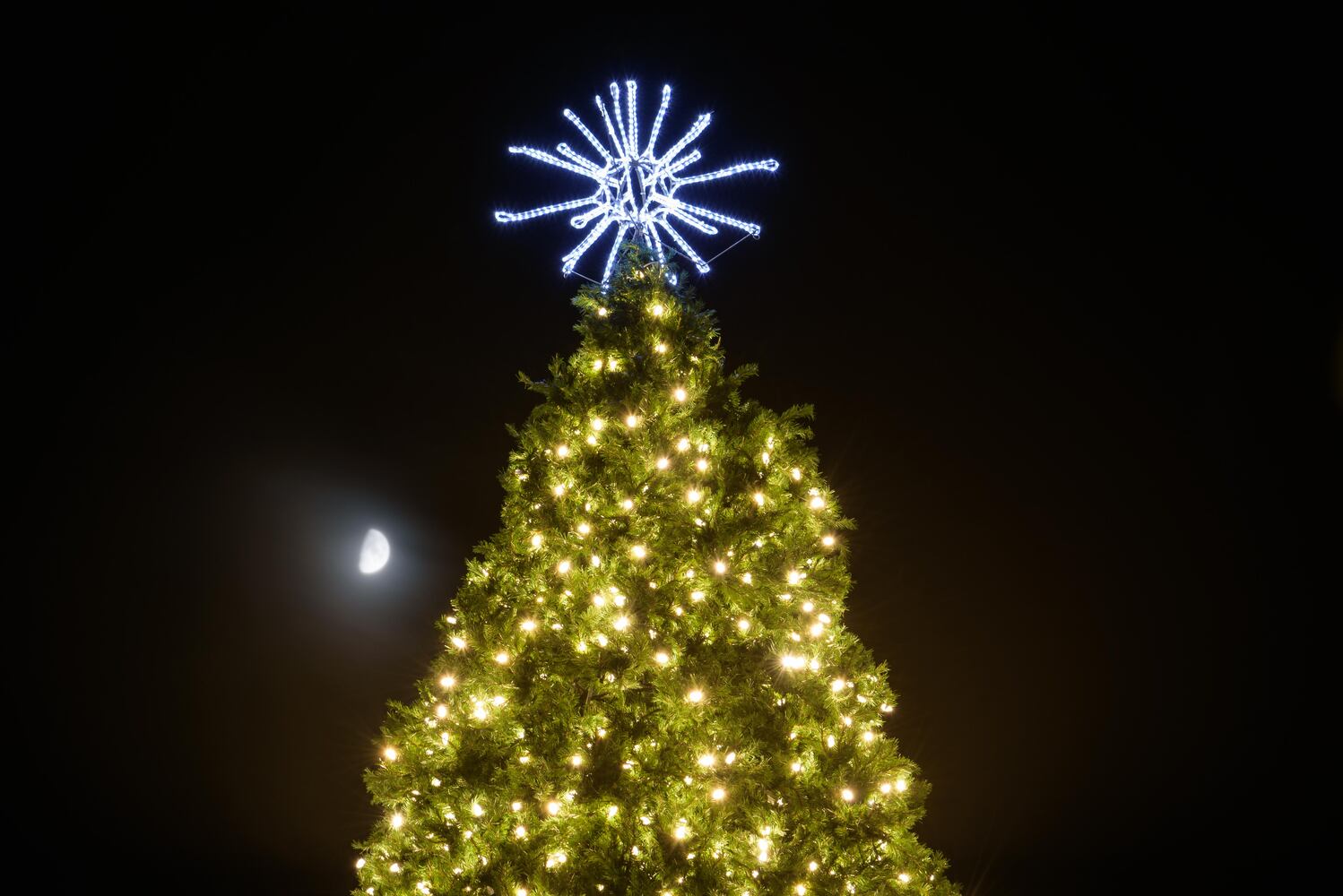 PHOTOS: Did we spot you at The Greene’s Christmas Tree Lighting and Santa Arrival Parade?