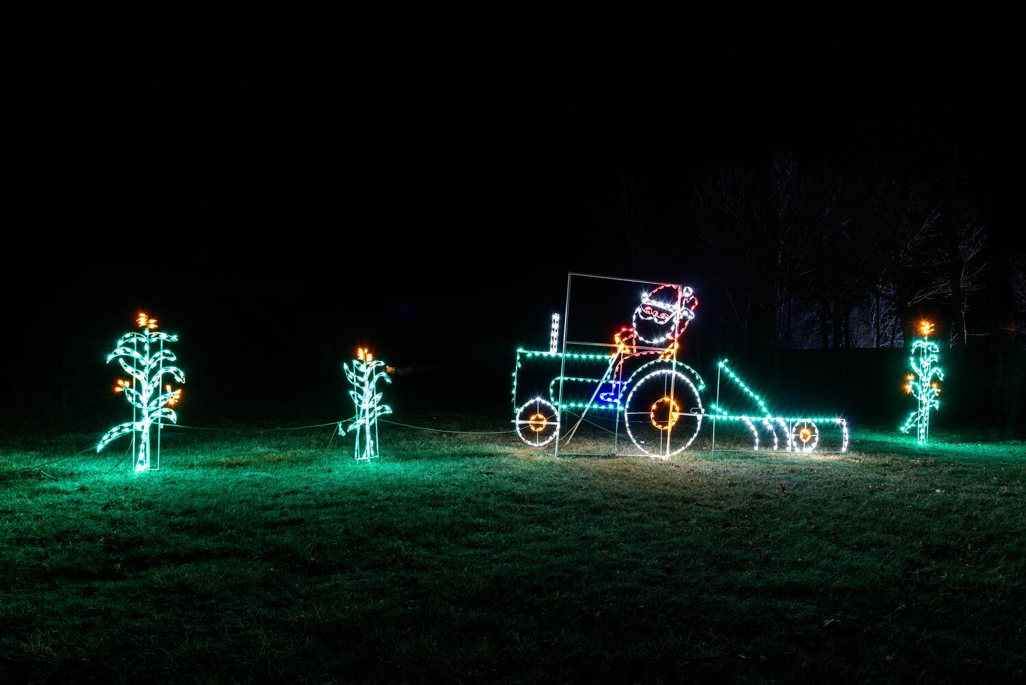 PHOTOS: ParkLights at Caesar Ford Park