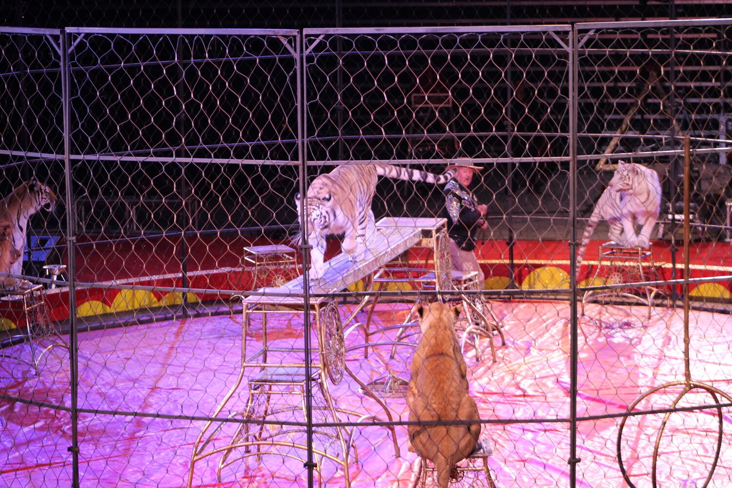 PHOTOS: Antioch Shrine Circus at UD Arena