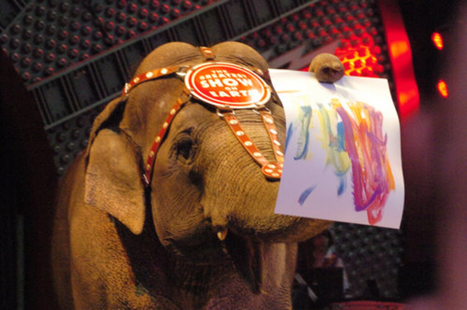 Circus comes to the Nutter Center