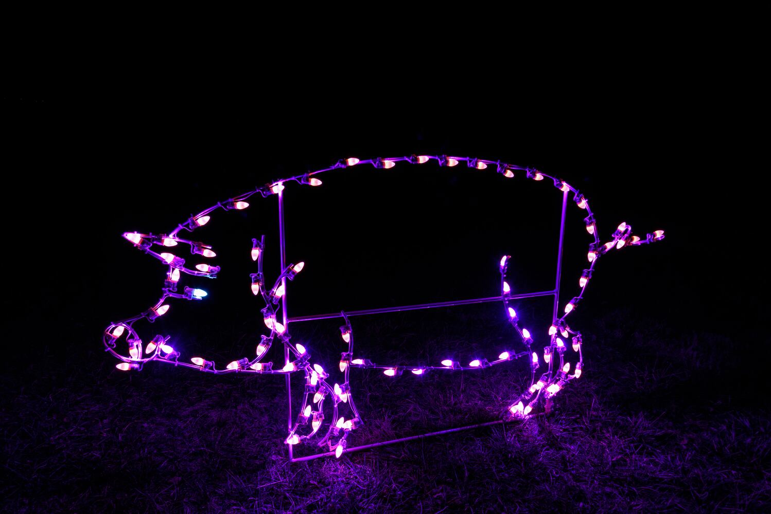PHOTOS: ParkLights at Caesar Ford Park