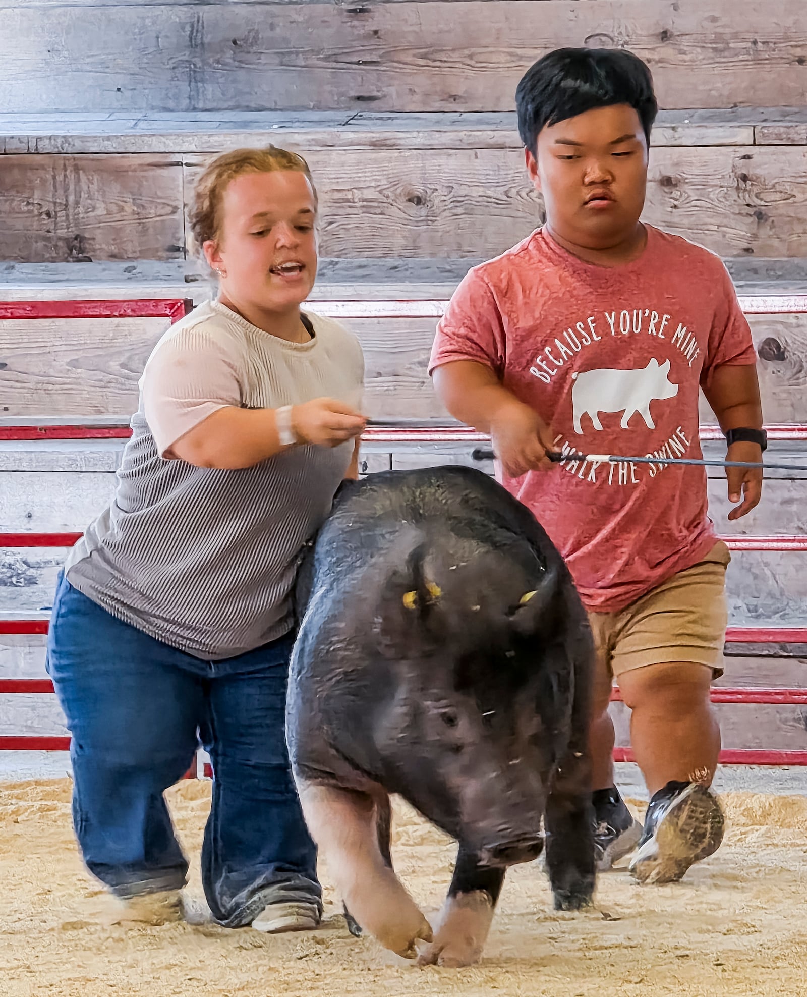 Allie Smith, left, teaches Alex Johnston, from the television show "7 Little Johnstons", how to show animals at the Butler County Fair Monday, July 21, 2025 in Hamilton. Johnston and some of his family had a film crew following them around the fair creating content for the show. NICK GRAHAM/STAFF