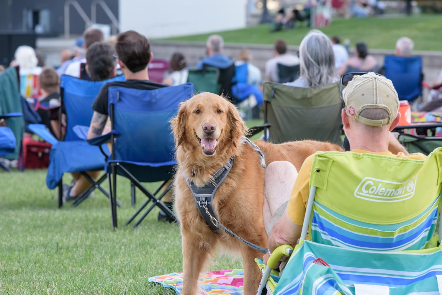 PHOTOS: Motherfolk with Matt Rouch & The Noise Upstairs live at Levitt Pavilion
