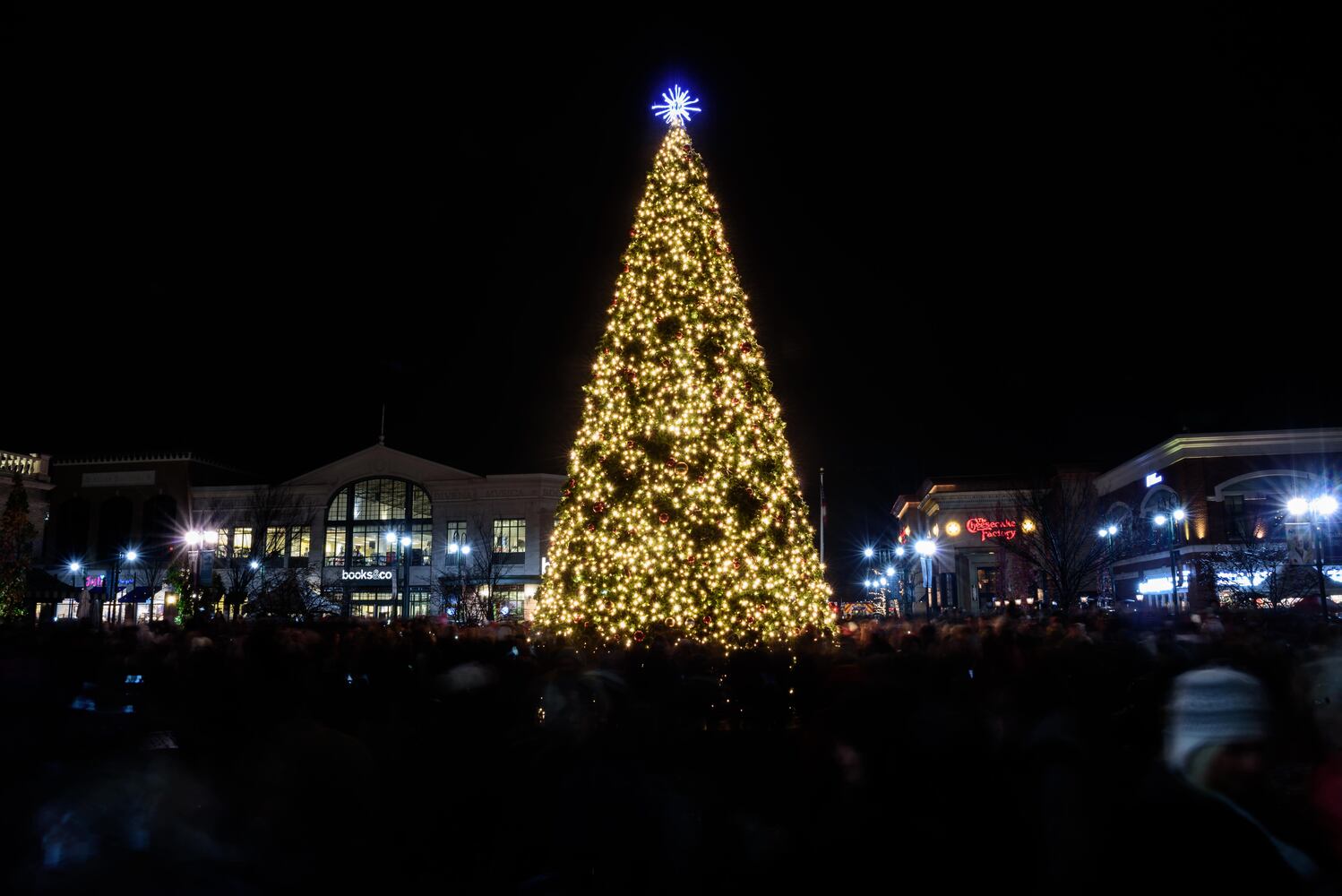 PHOTOS: Did we spot you at The Greene’s Christmas tree lighting?