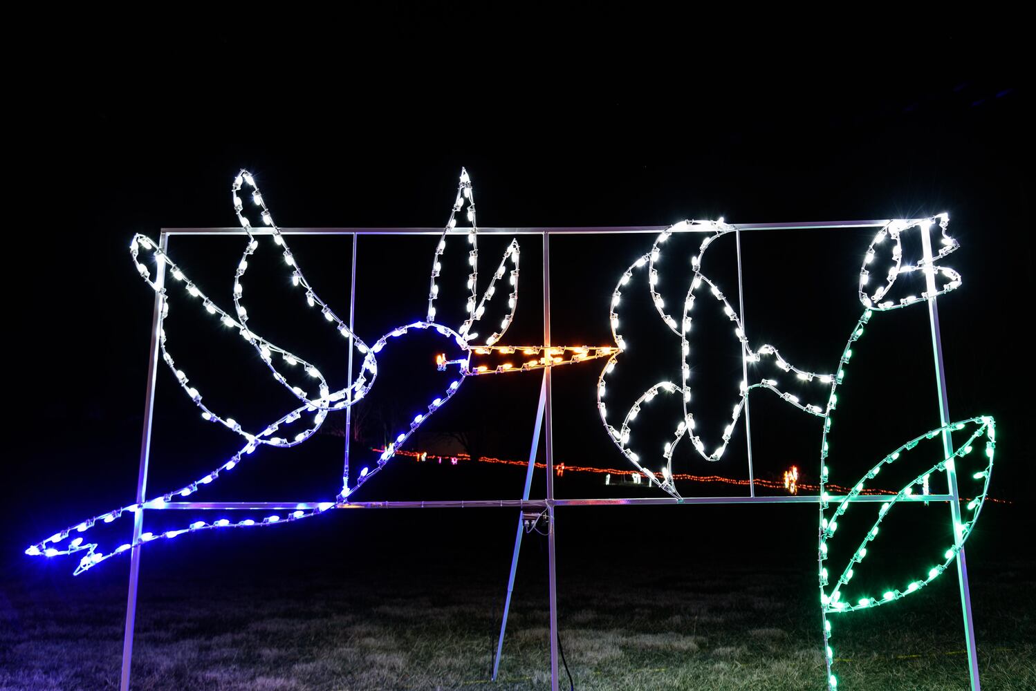 PHOTOS: ParkLights at Caesar Ford Park