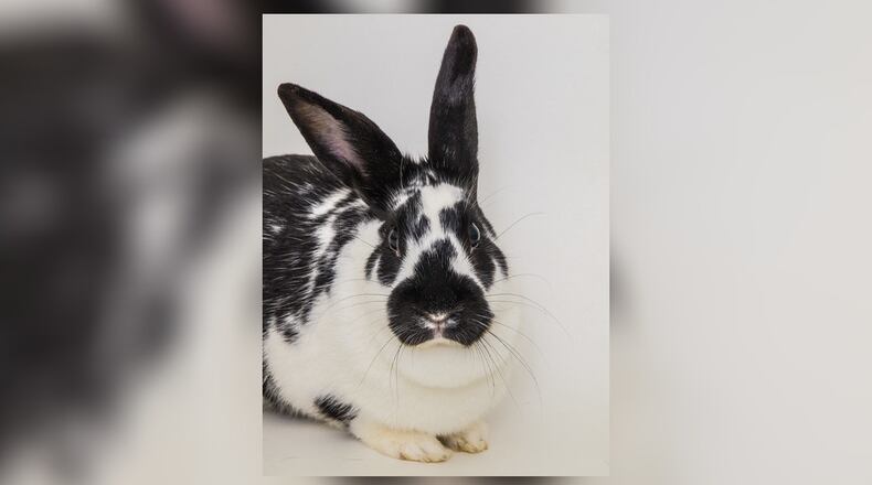 NICHOLAS SYLVAIN AND TINA LARSON