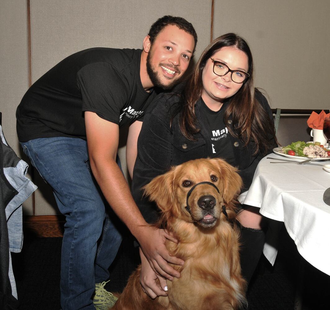 Did we spot you at Dogs on the Catwalk?