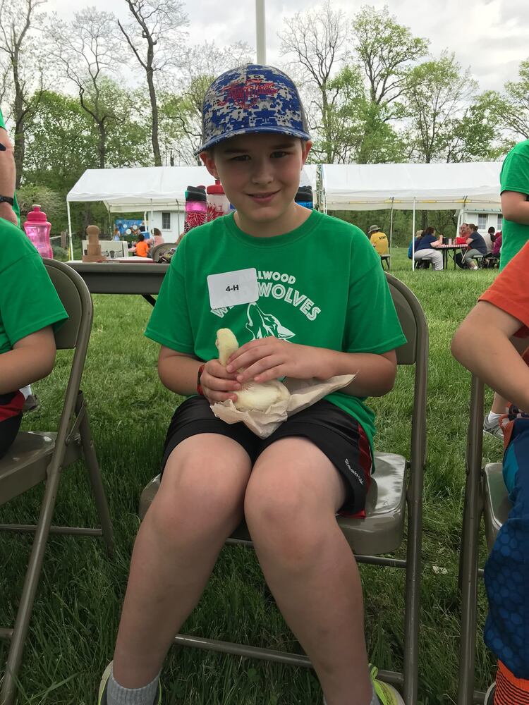 PHOTOS: We saw baby pigs and baby goats- did we see YOU at the Aullwood’s Farm Babies Fest?