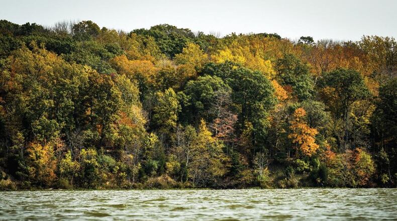 Splashes of fall color, like here at Hueston Woods State Park, are on display throughout the region as the weather turns colder. NICK GRAHAM/STAFF