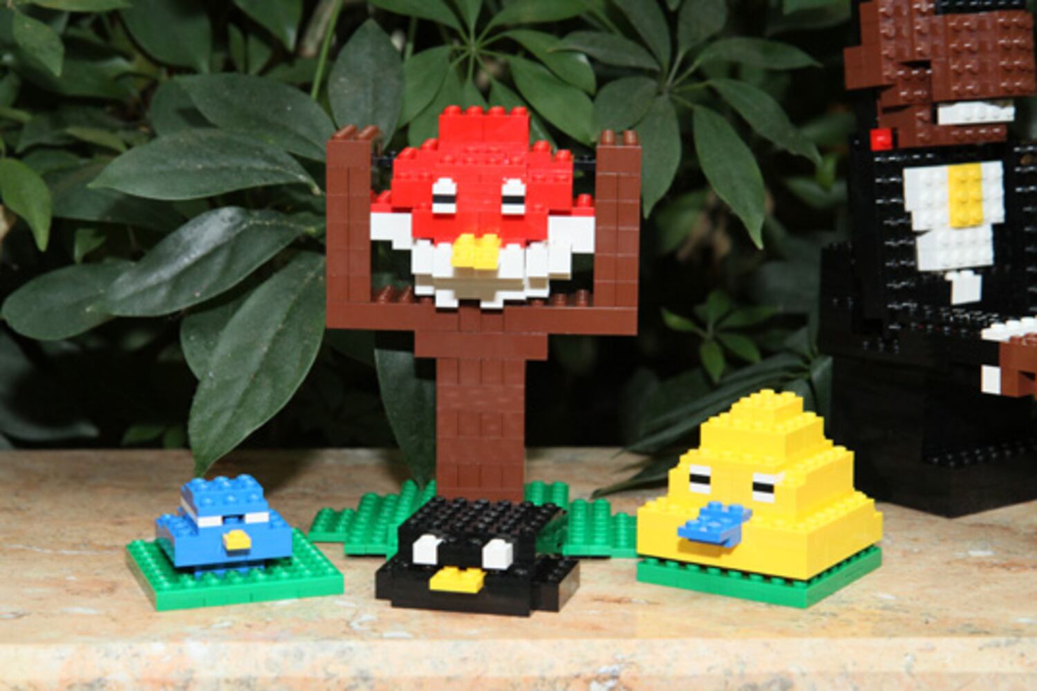 LEGO Master Builder Competition at Phipps