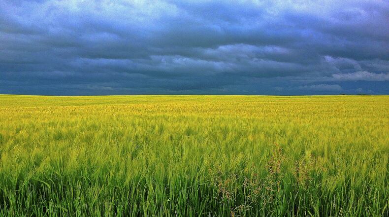 Organic farming (stock image)