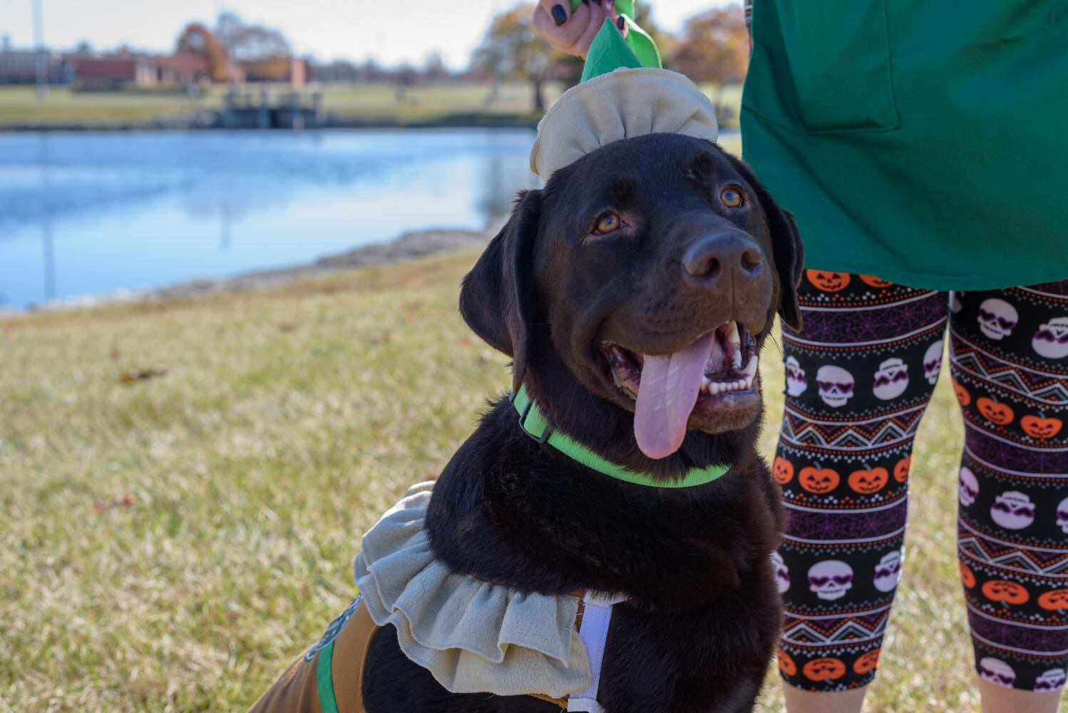 PHOTOS: Did we spot you and your dog at Wag-O-Ween at the Kettering Recreation Center?