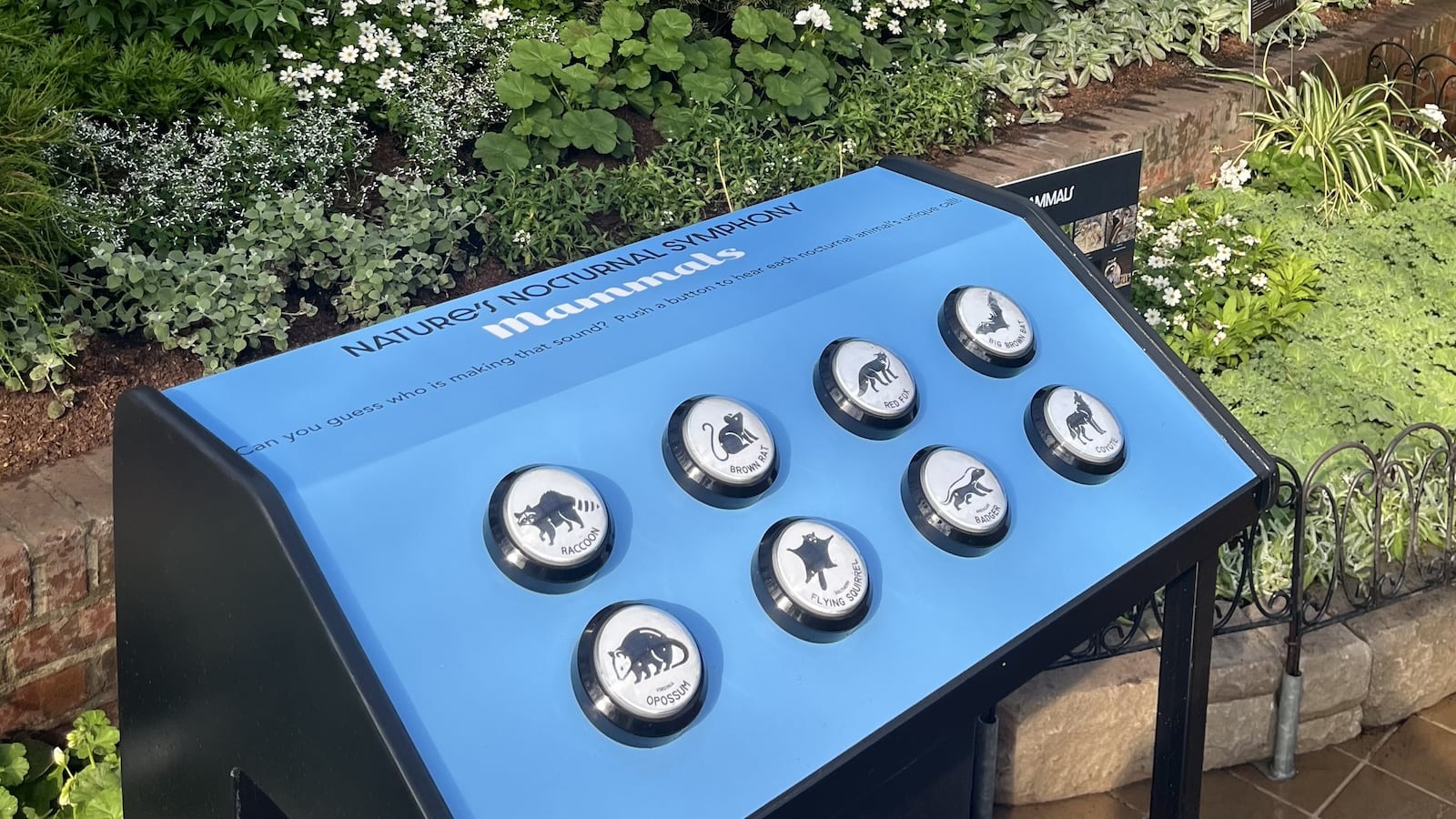 The Krohn Conservatory's Moonlight Menagerie event will run Jan. 17-April 19, 2026. Photo by Allison Wallis. Contributed