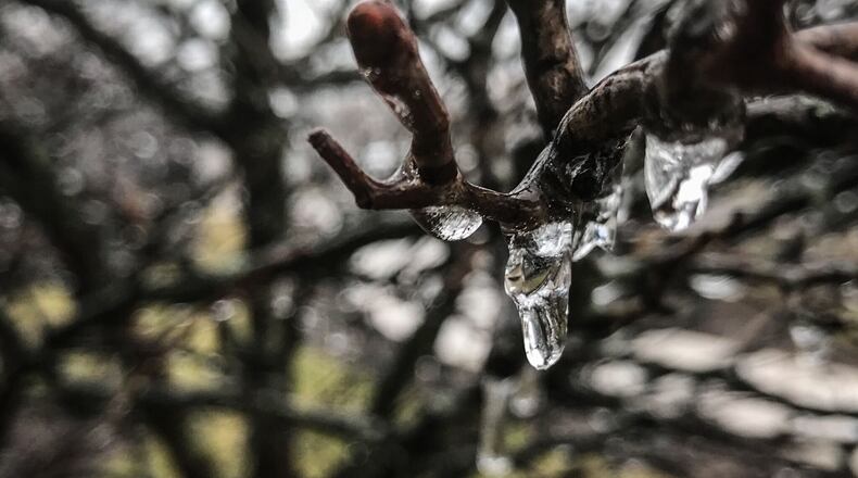 Ice forms on a tree in Dayton the evening of March 15, 2021. JIM NOELKER / STAFF