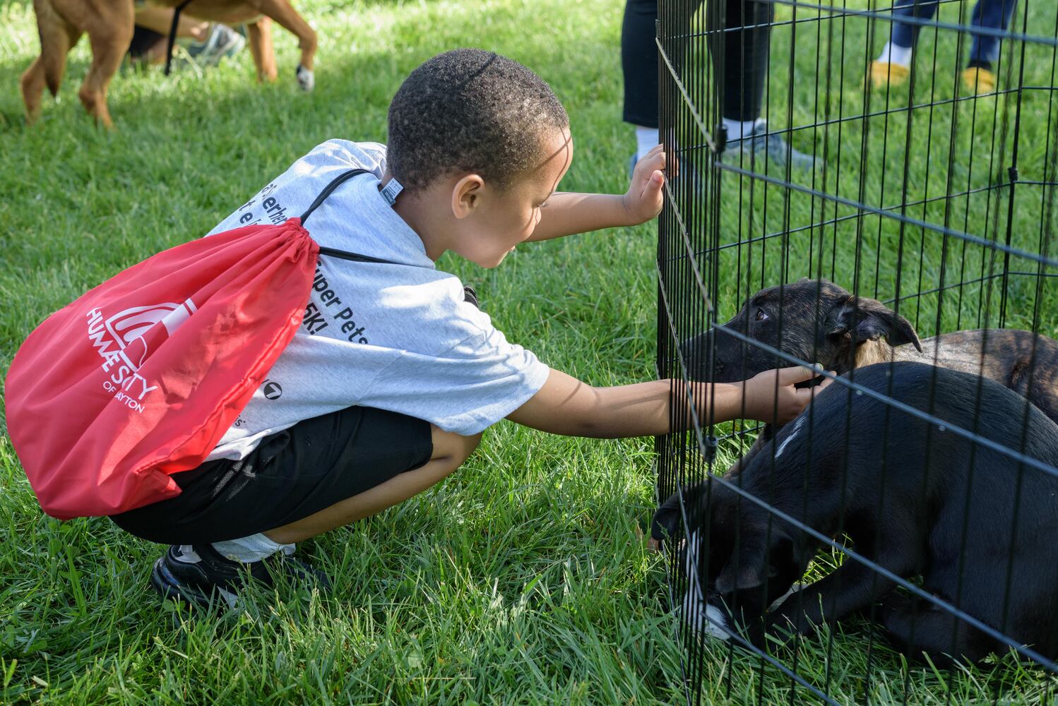 PHOTOS: Did we spot you and your doggie during the Furry Skurry 5K & Furry Fest at Eastwood MetroPark?