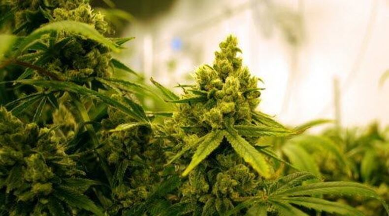 JACKIE BORCHARDT/ADVANCE OHIO MEDIA