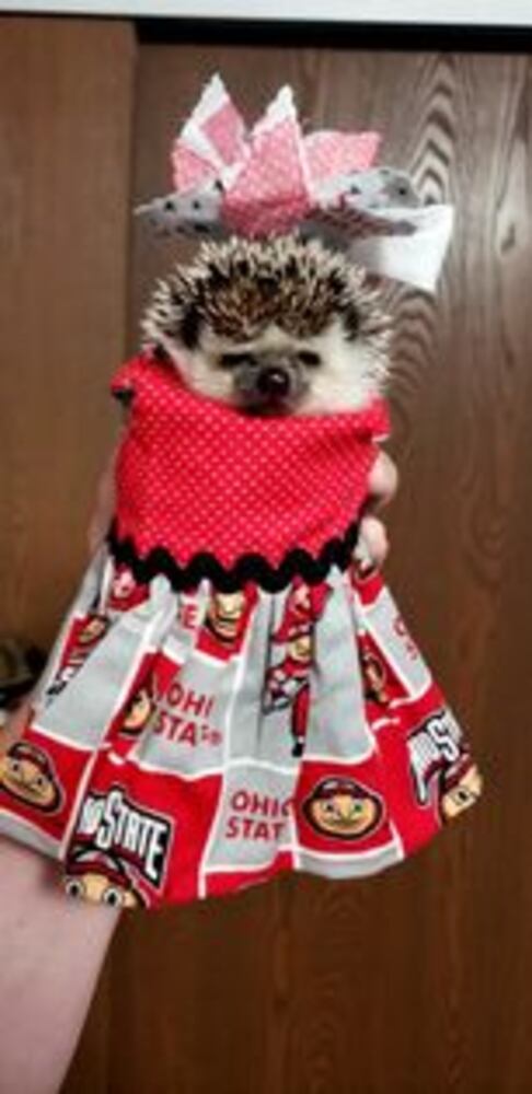 PHOTOS: Miami Valley residents show off their Halloween Costumes