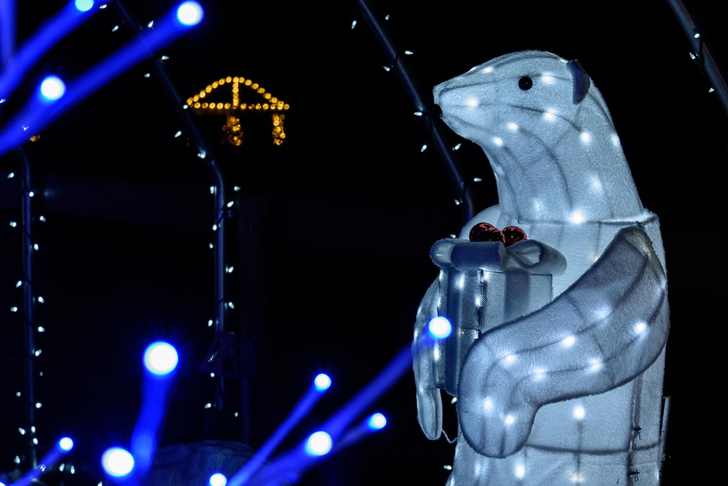 PHOTOS: Christmas Light Spectacular at Cedar Springs Pavilion