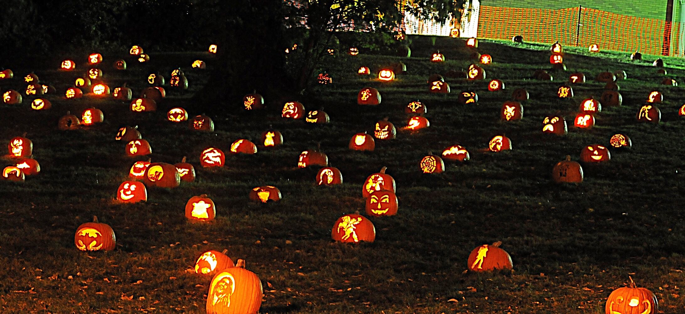 PHOTOS: The Stoddard Avenue Pumpkin Glow LIGHTS Dayton up for Halloween