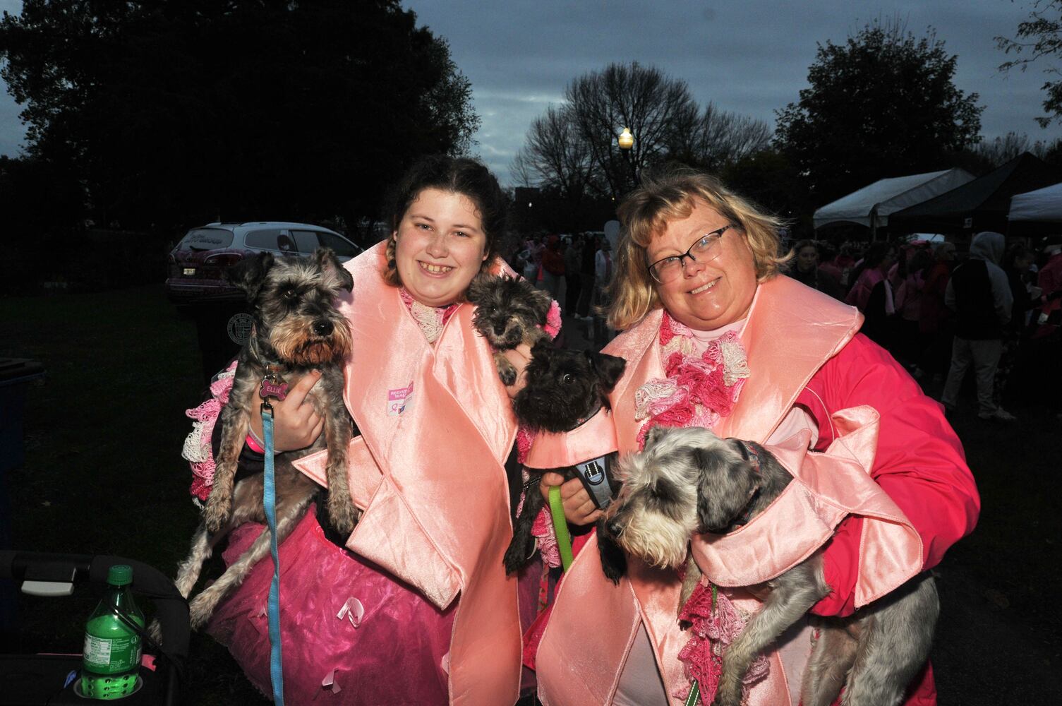 PHOTOS: Making Strides Against Breast Cancer walk in Dayton