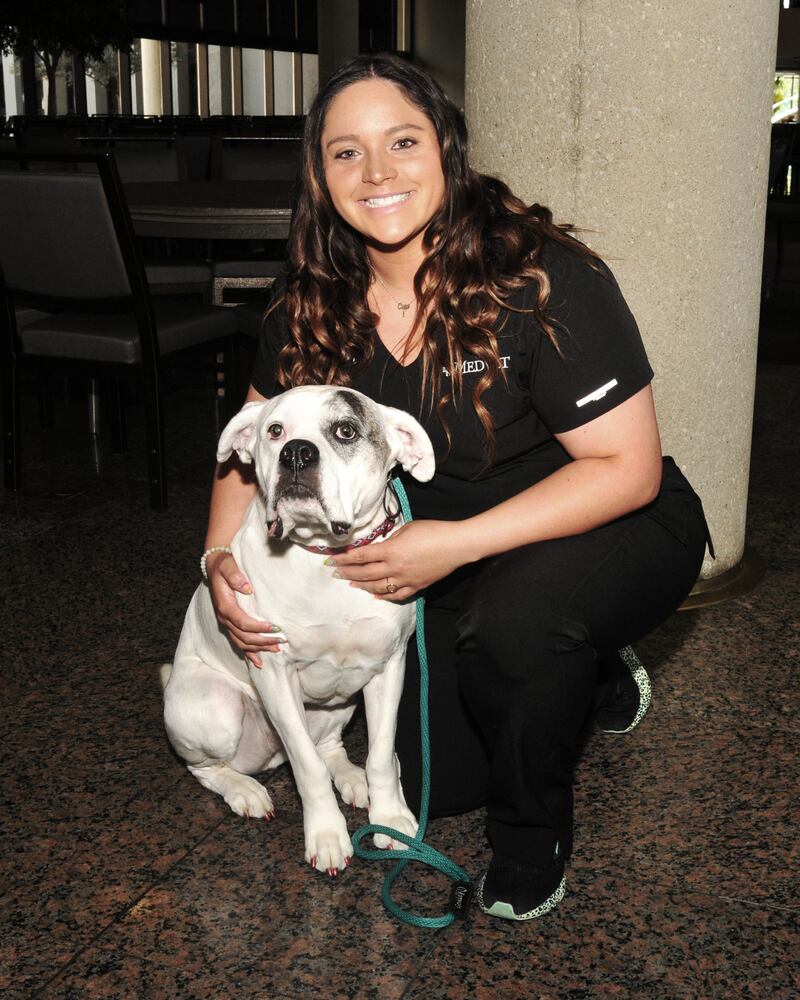 Did we spot you at Dogs on the Catwalk?