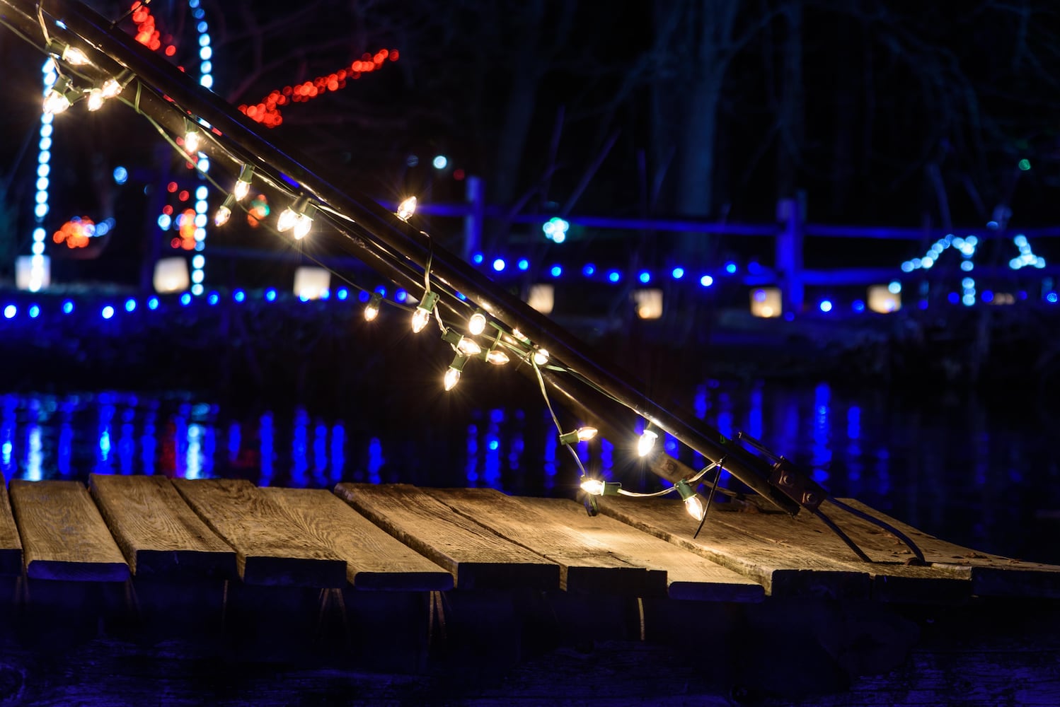 PHOTOS: A walk through Woodland Lights in Washington Township