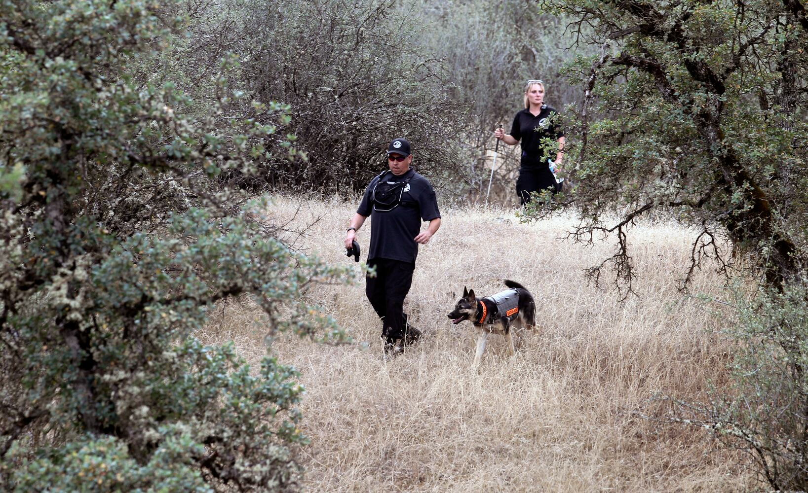 News hounds (7/16/15)