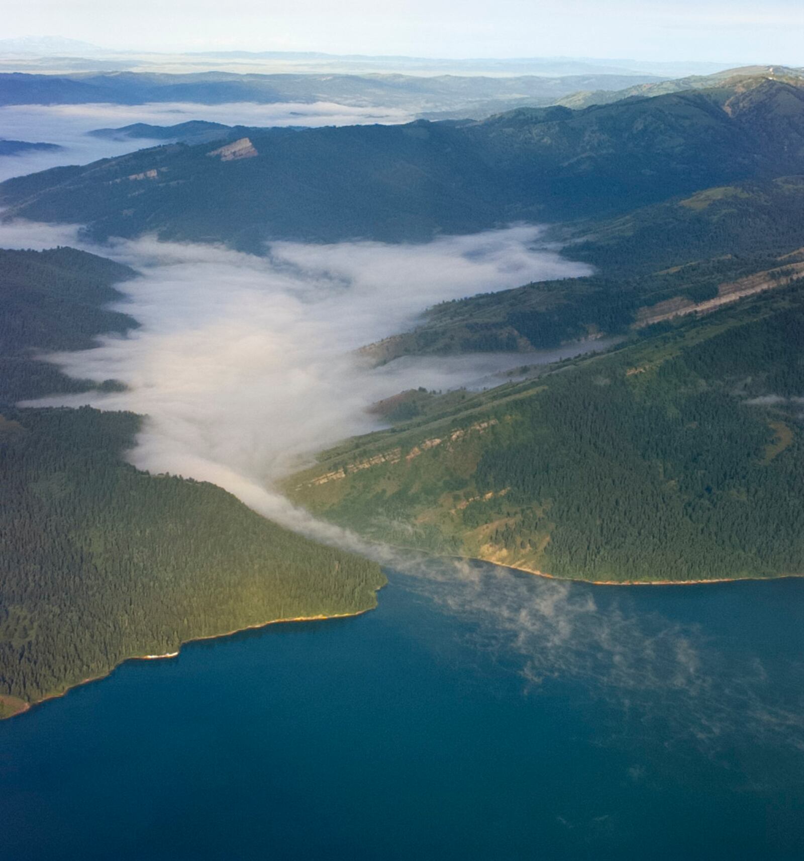Fog spills into the Palisades Resivoir near Jackson Hole, Wyoming just after sunrise. - 1997