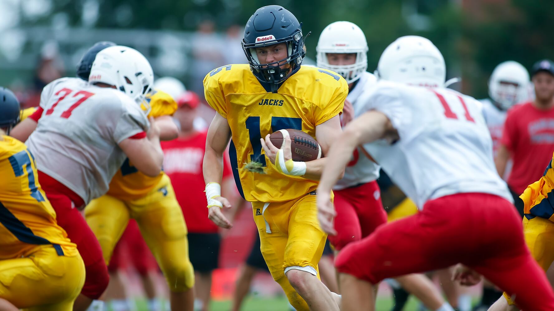 hsfb