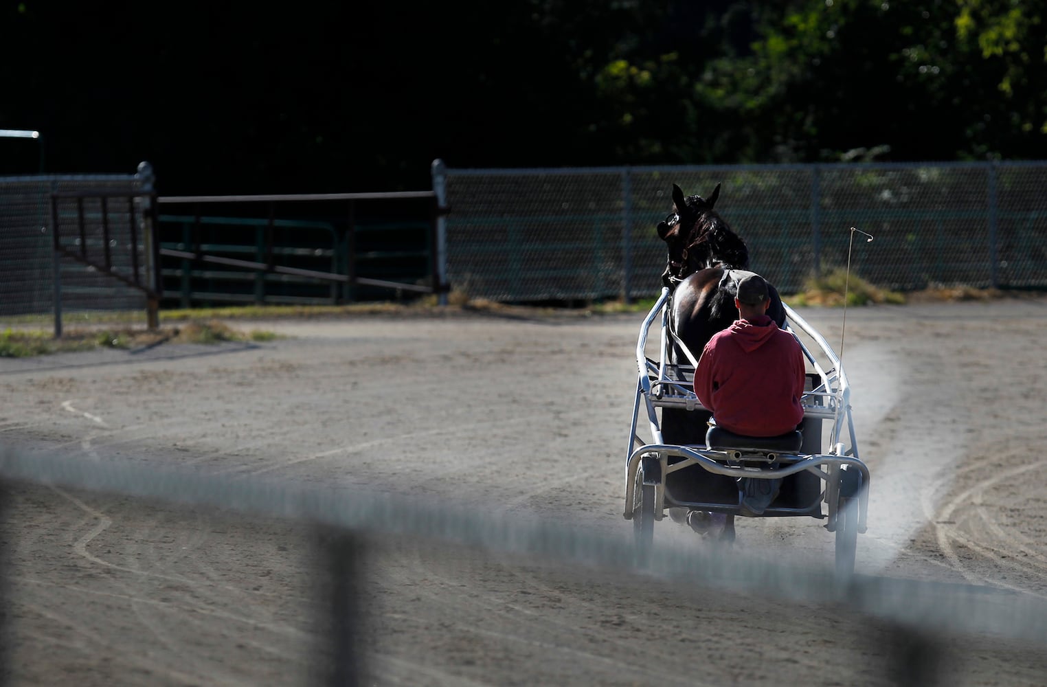 Dan Noble: Harness racer dominates track